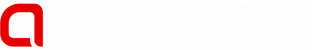 Amusense Inc